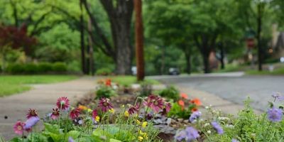 Martindale Neighborhood Makes An Ideal Choice To Live And Grow Happily Forever